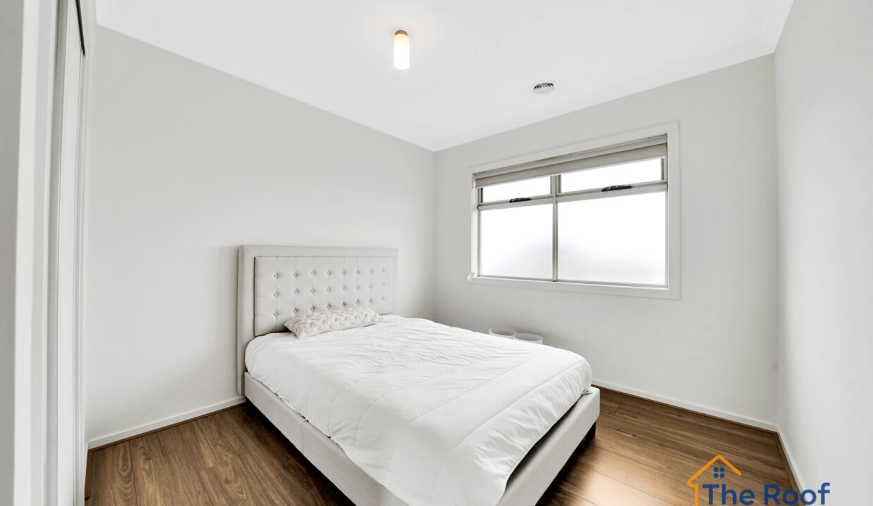 195320525__1775185414-52552-OSMEDIA-101