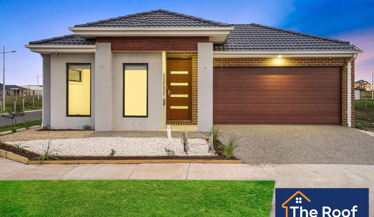 61700135__1721966924-455e5028-6eb3-11ed-b984-de2ca97c4115-14622009__1604028912-24732-01Grass