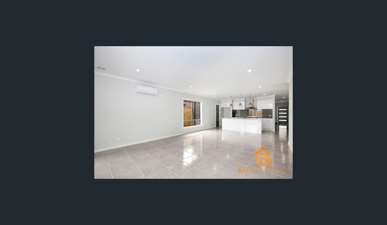 62613253__1673841272-3896-image2