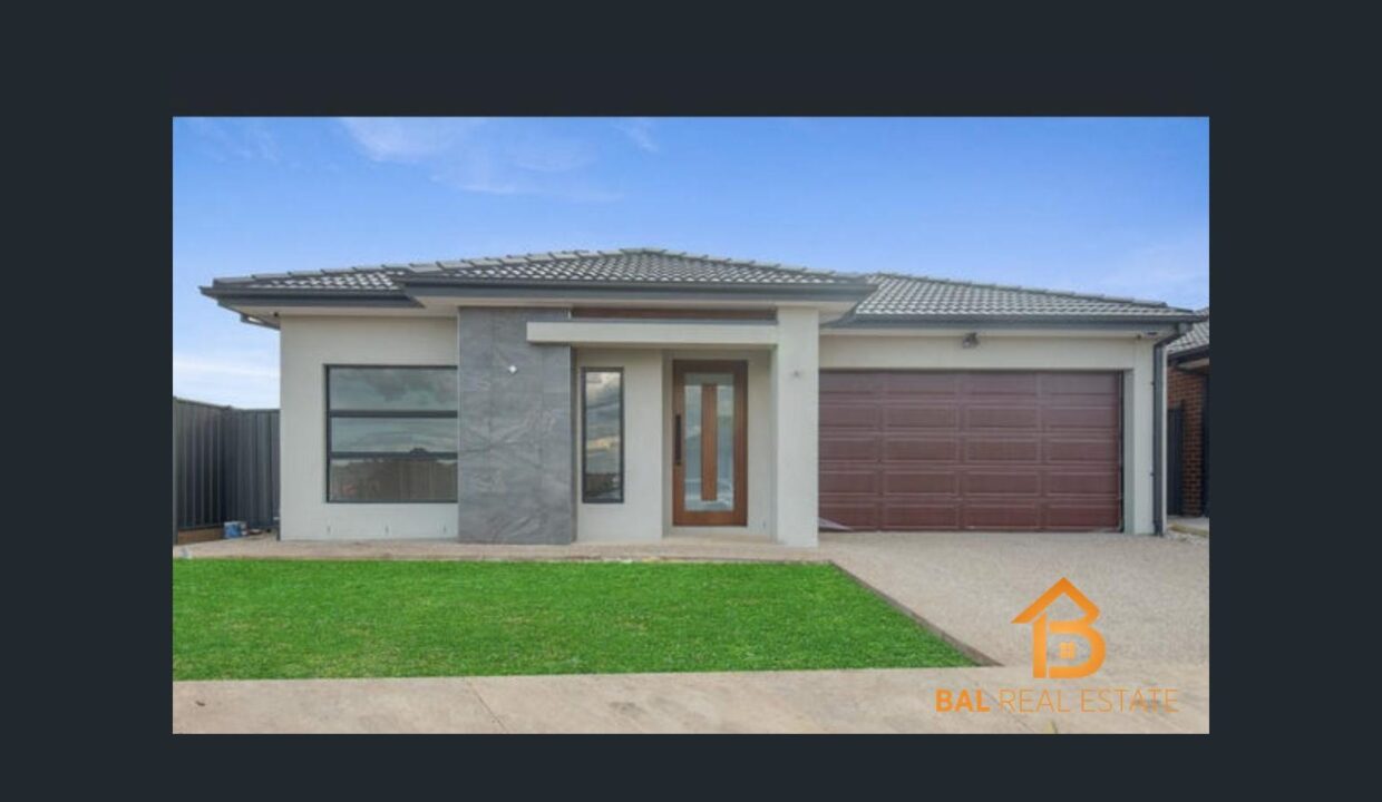 62613976__1673842069-20321-main1