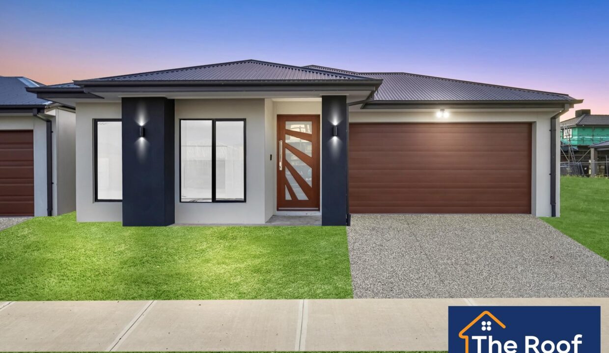 66899578__1722500391-66899578__1687158716-11235-03Grass