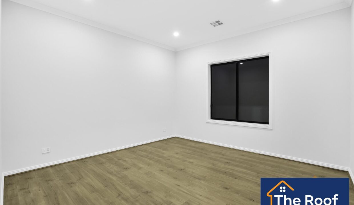 66899606__1722500391-66899606__1687158739-19565-2