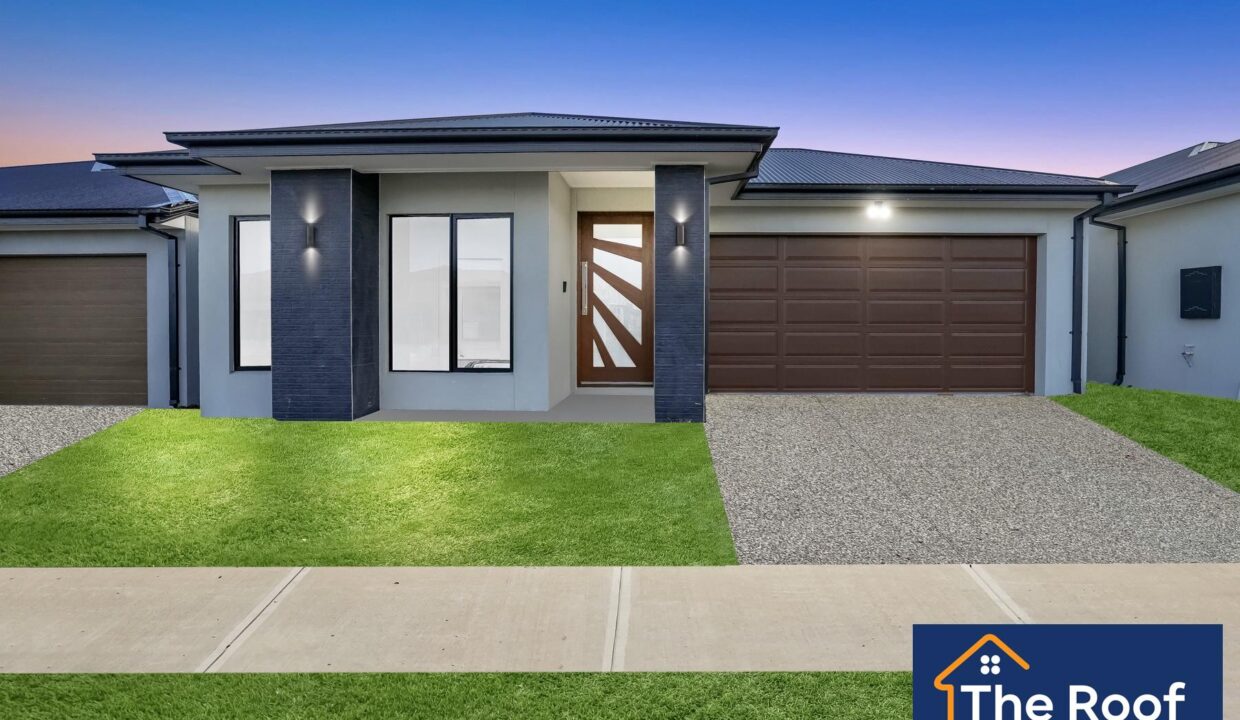 66958678__1722500417-66958678__1687324338-24353-01Grass