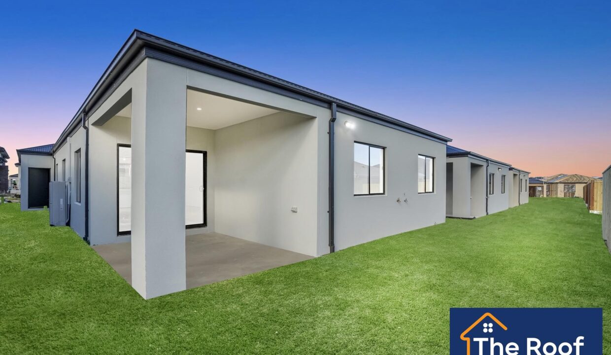 66958681__1722500418-66958681__1687324343-9154-02Grass