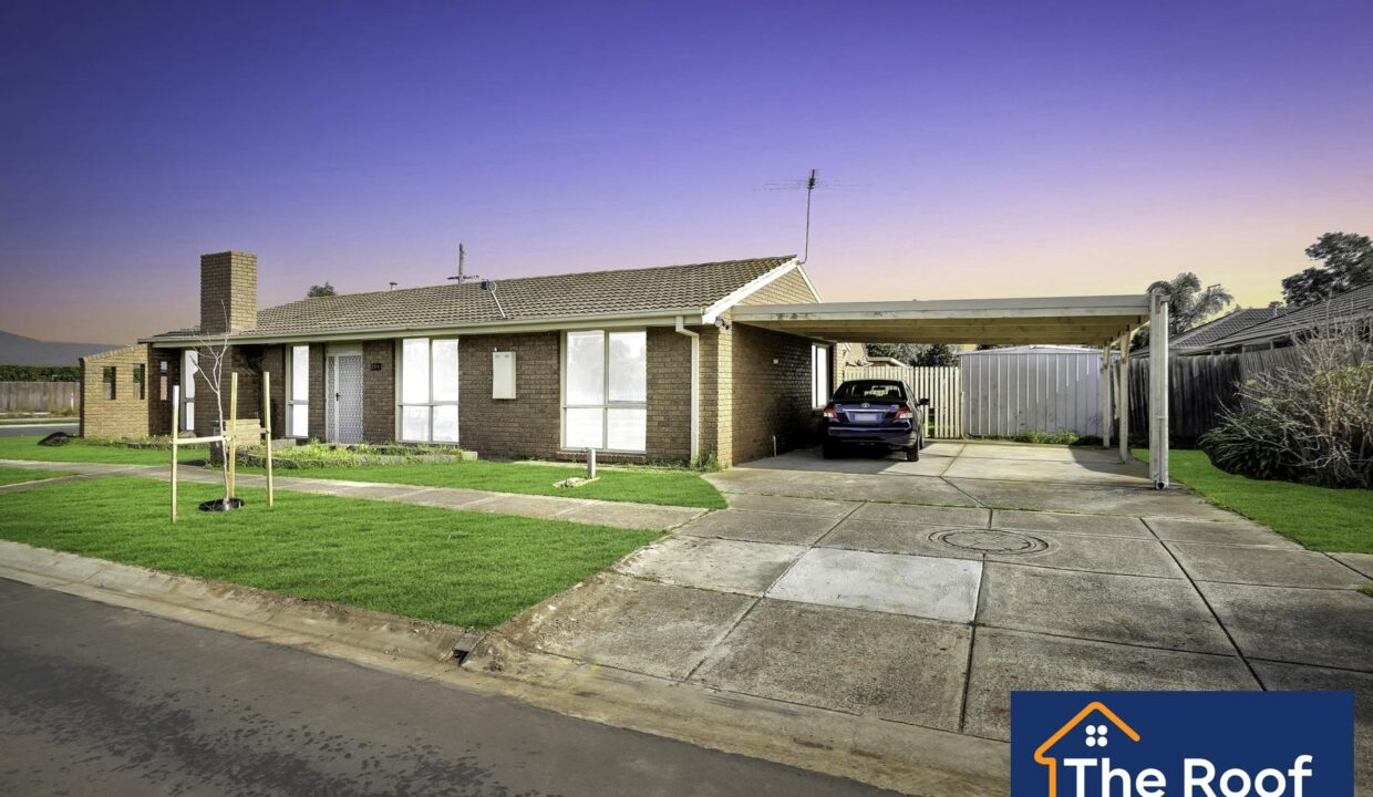 68573292__1722499851-68573292__1690518730-3177-141