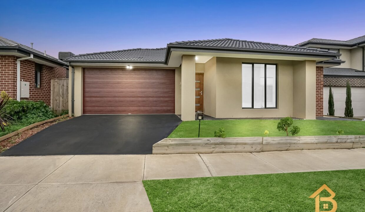 69521216__1691723537-32078-02Grass