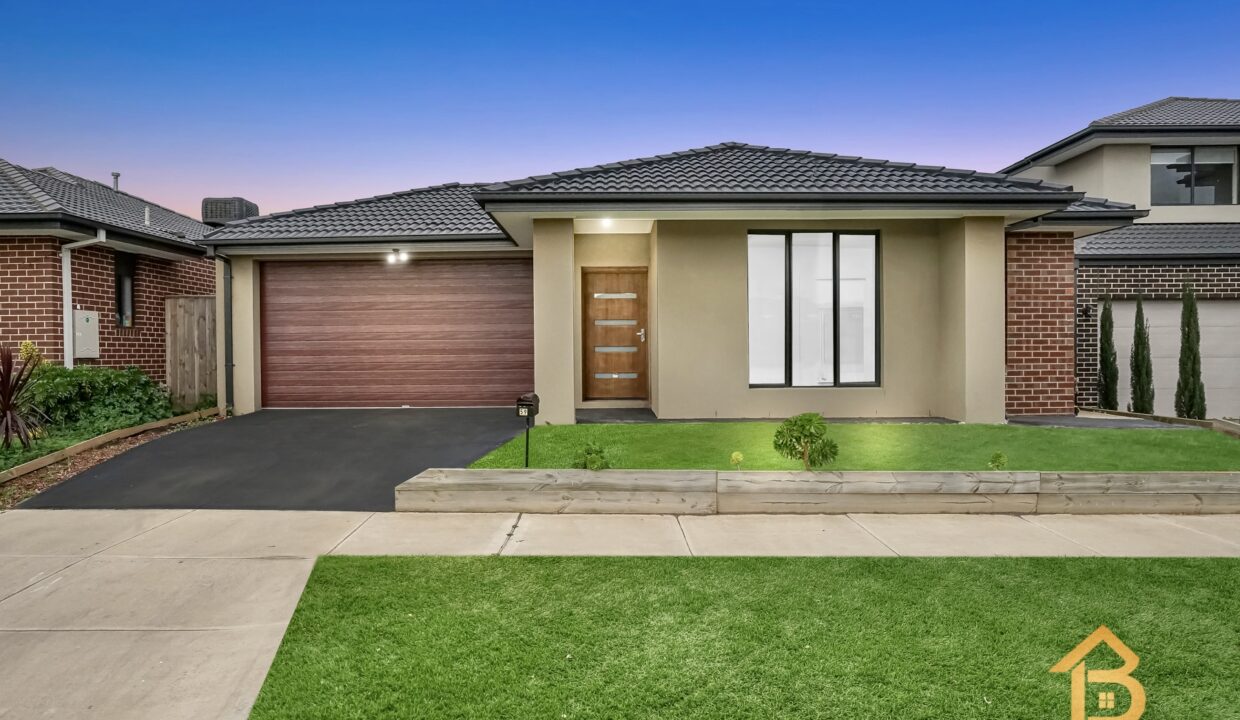 69521859__1691724439-7961-01Grass