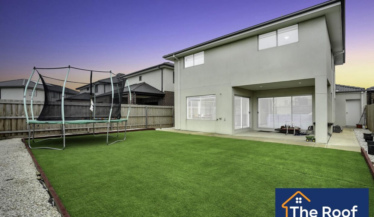 71163990__1722500087-71163990__1694395199-6684-12