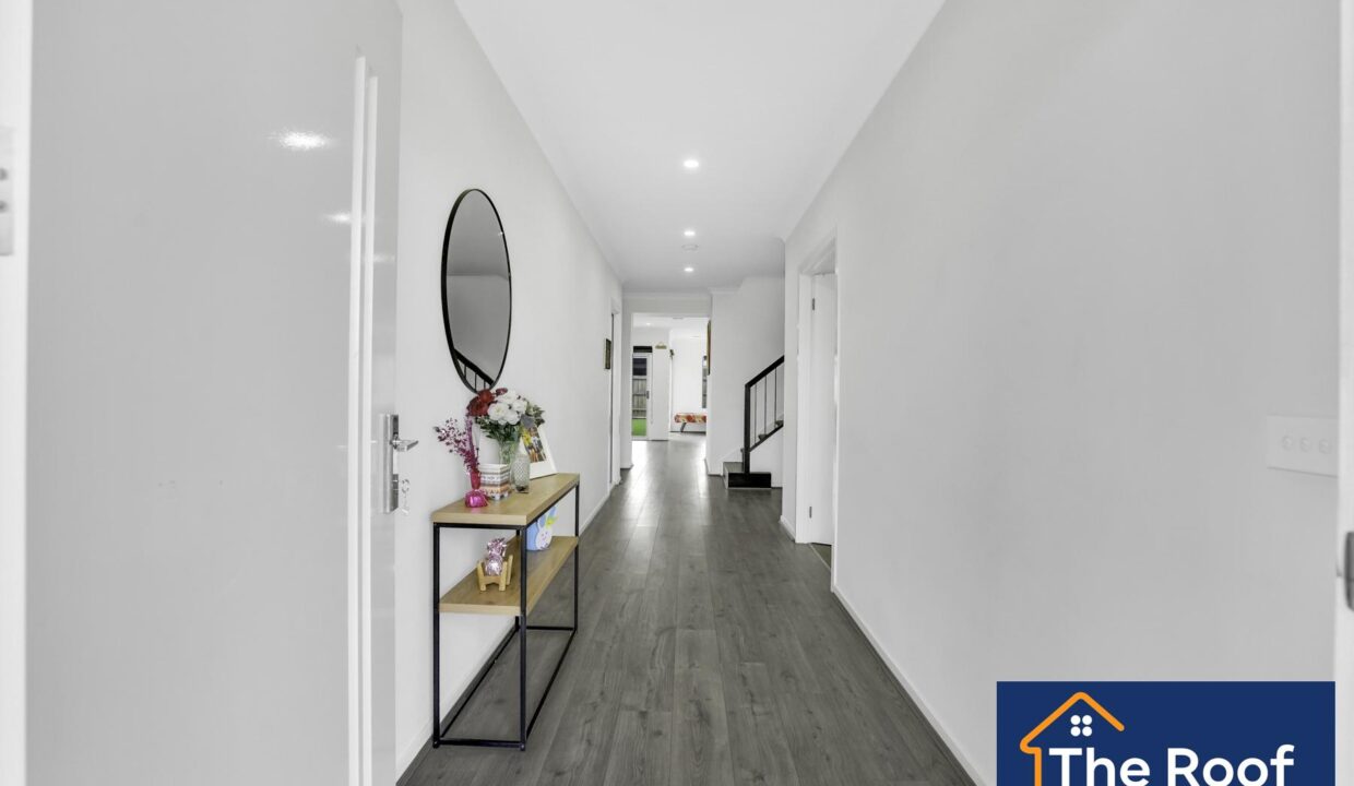 71164211__1722500086-71164211__1694395310-8323-11