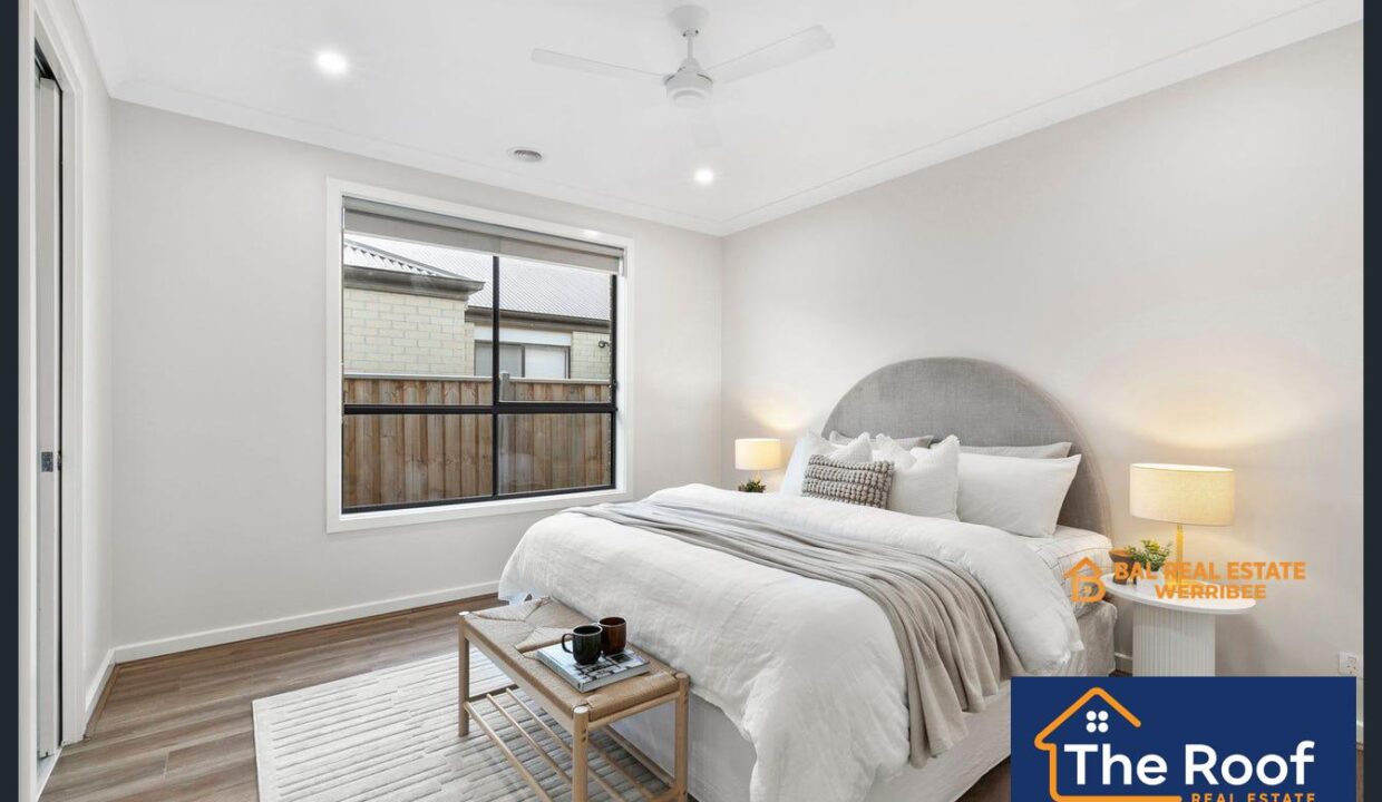 72571981__1722500677-72571981__1695965481-72571981__1695884154-830-image9