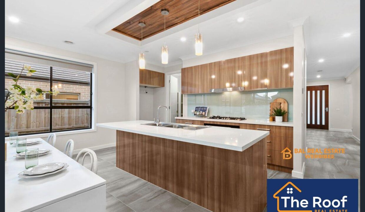 72572001__1722500677-72572001__1695965393-72572001__1695884209-1737-image2