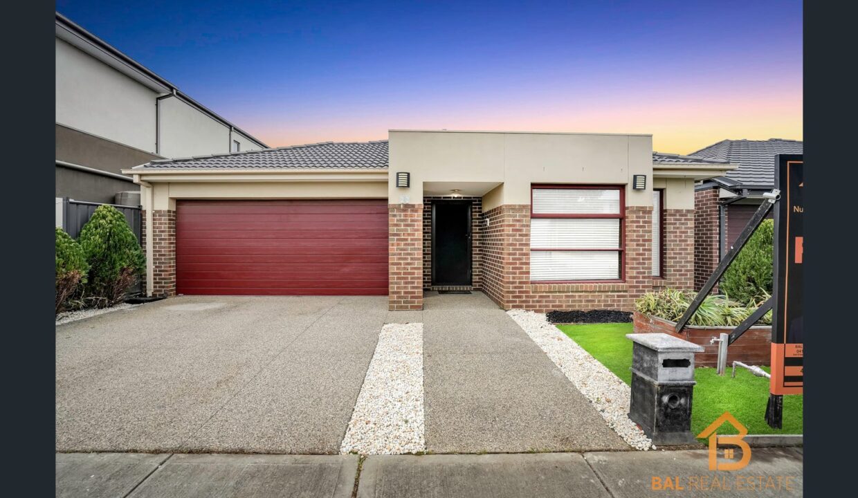 74634725__1698107967-19008-image2