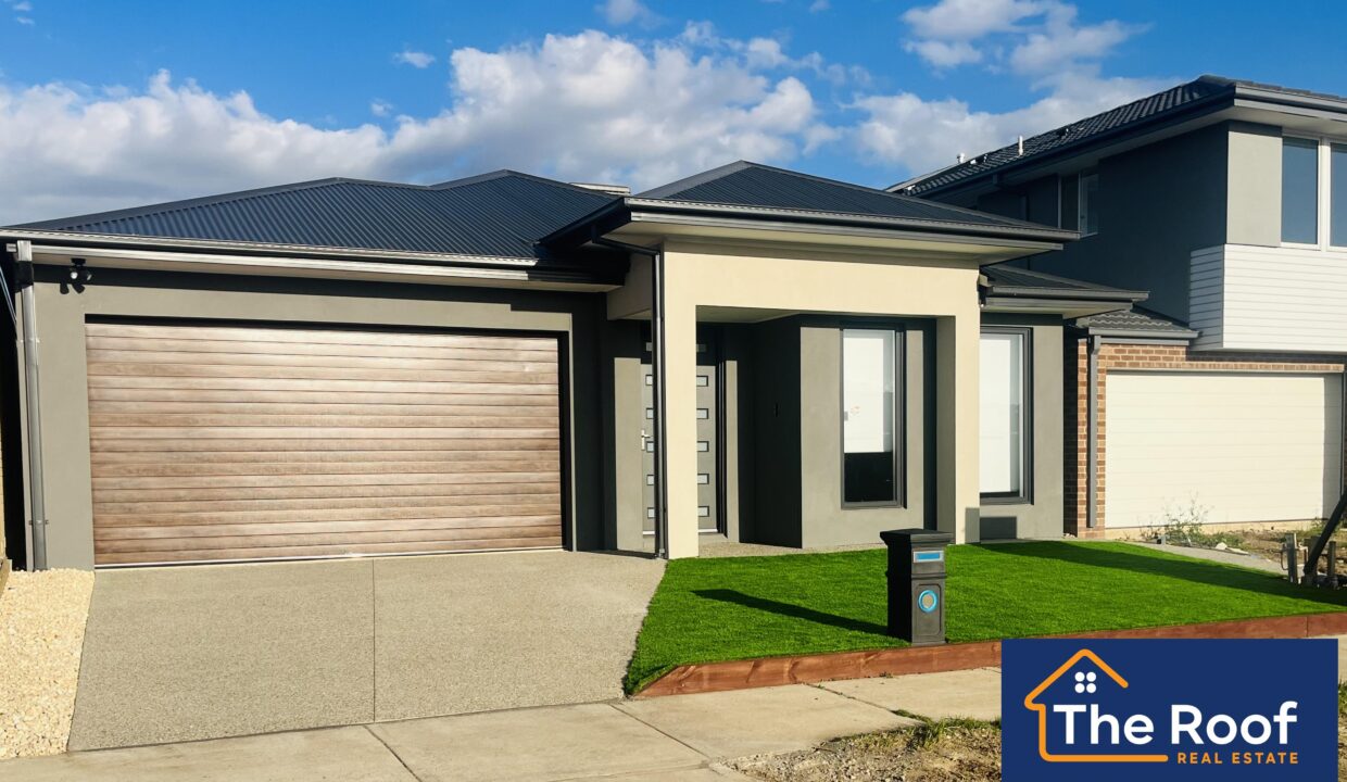 74735852__1722501114-74735852__1698214386-30433-image50440449