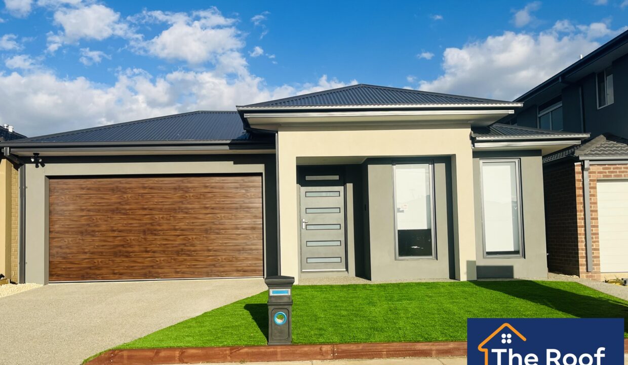 74735868__1722501114-74735868__1698214395-30234-image504130571