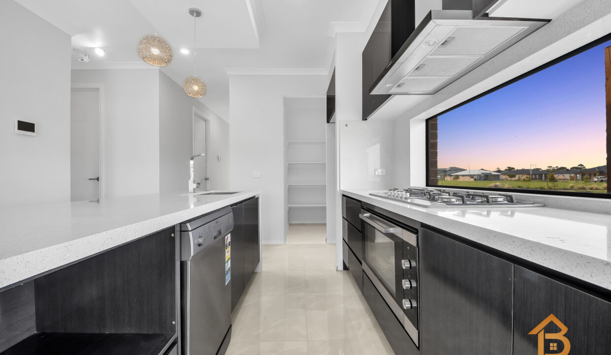 77919091__1701850192-32563-11