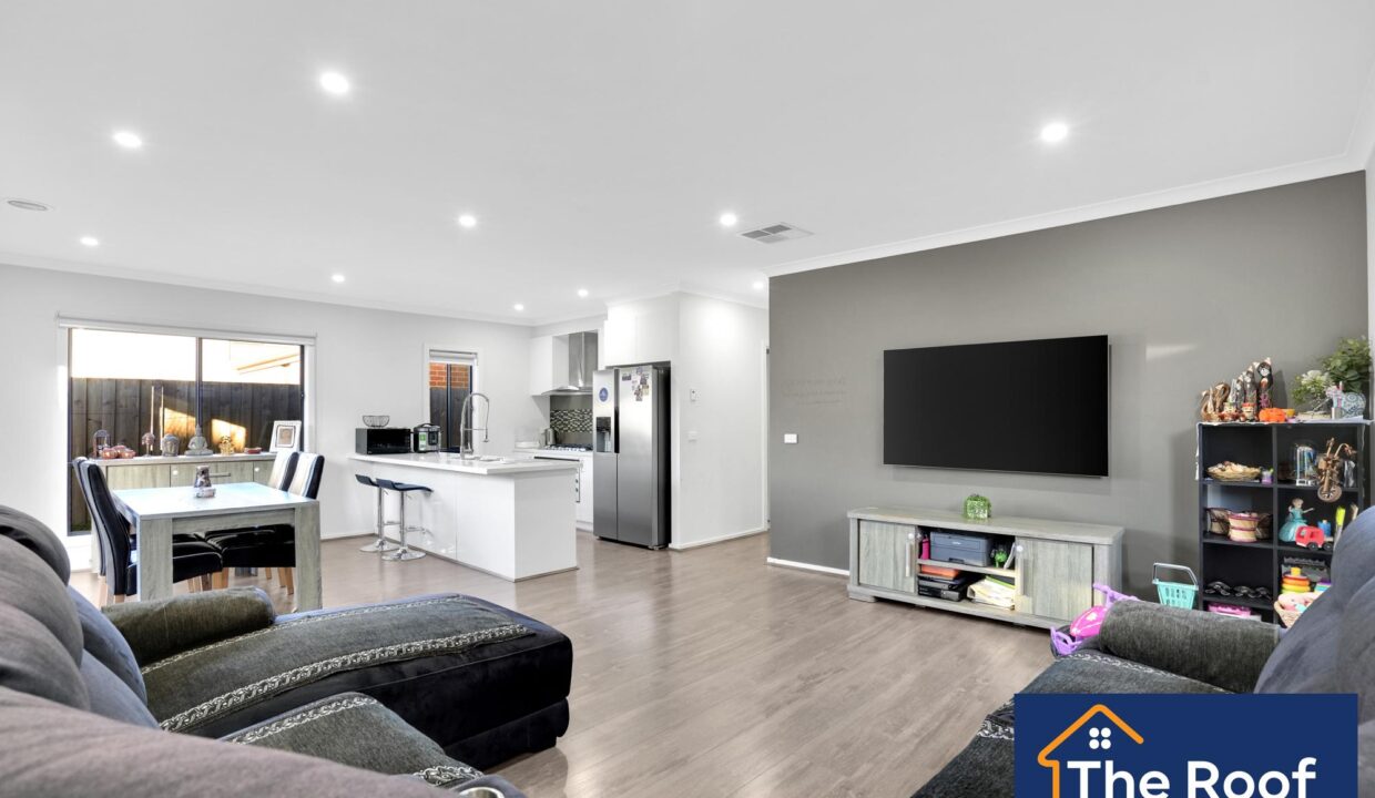 80729253__1722501034-80729253__1707102456-31061-011