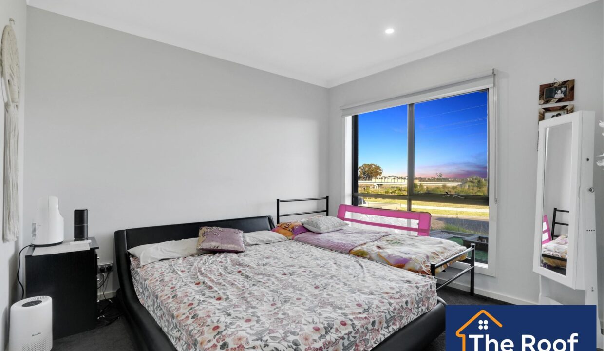 80729275__1722501034-80729275__1707102476-14152-011