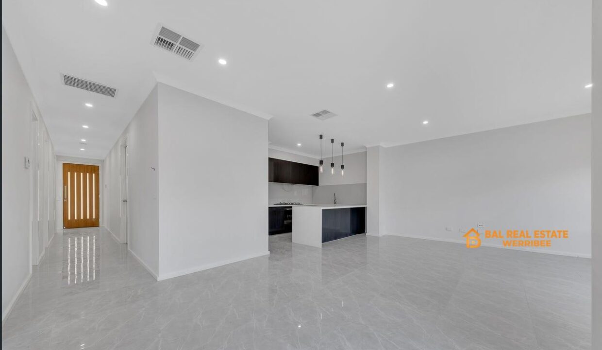 82334929__1708492476-82334929__1708492425-94477-image8